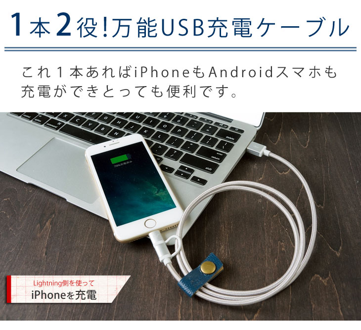 Hy+ MFI認証済 2in1ライトニング(Linghtning) ケーブル＆Micro USB 充電ケーブル 1M HY-IPCH1-SV シルバー